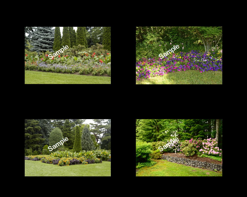 Wedding Backgrounds