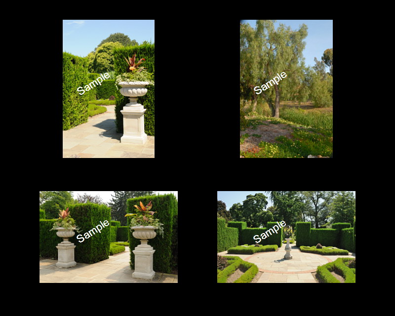 Wedding Backgrounds