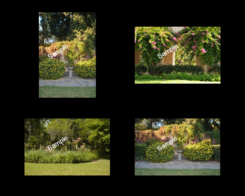 Wedding Backgrounds