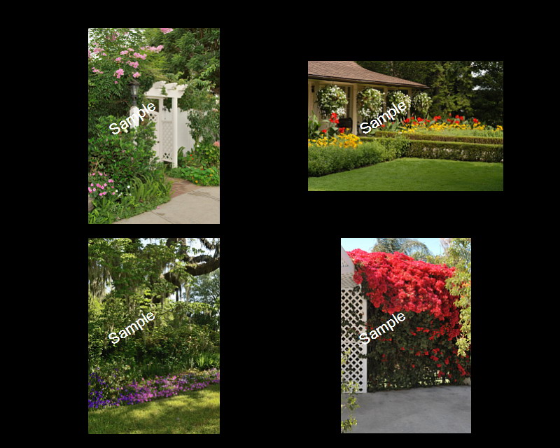 Wedding Backgrounds
