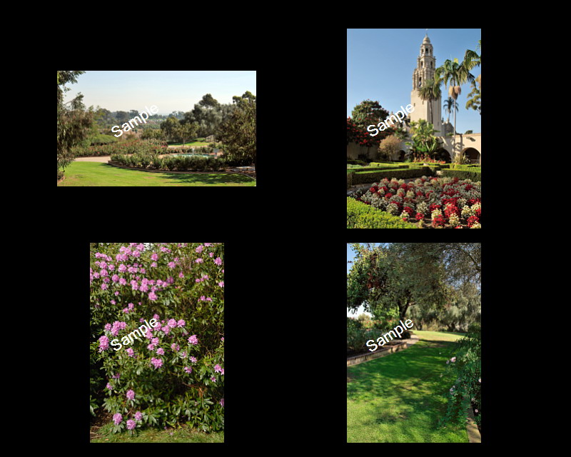 Wedding Backgrounds