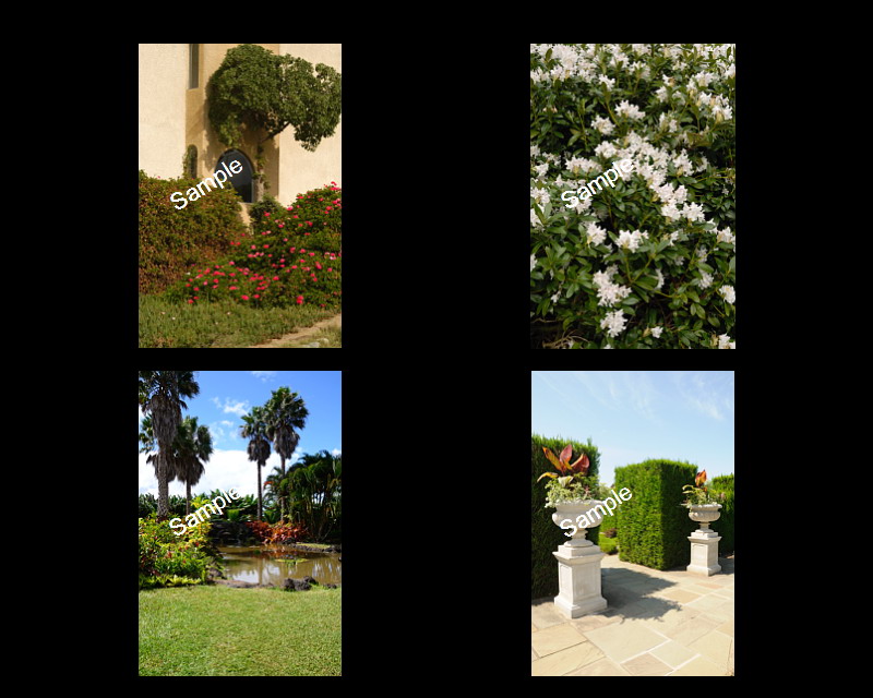 Wedding Backgrounds