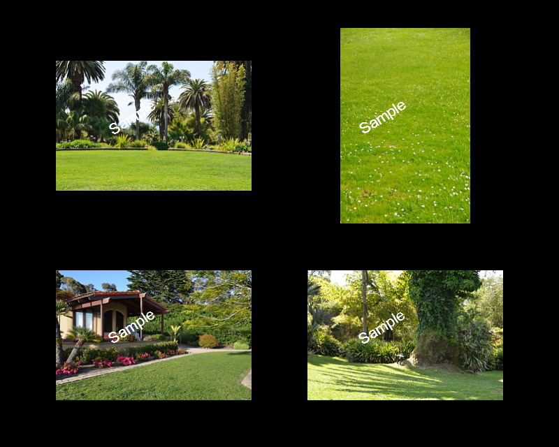 Wedding Backgrounds
