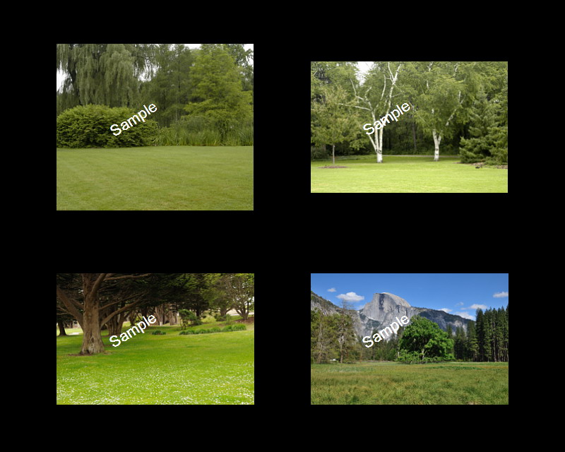 Wedding Backgrounds