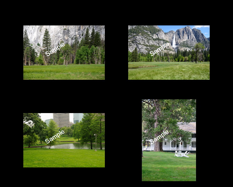 Wedding Backgrounds