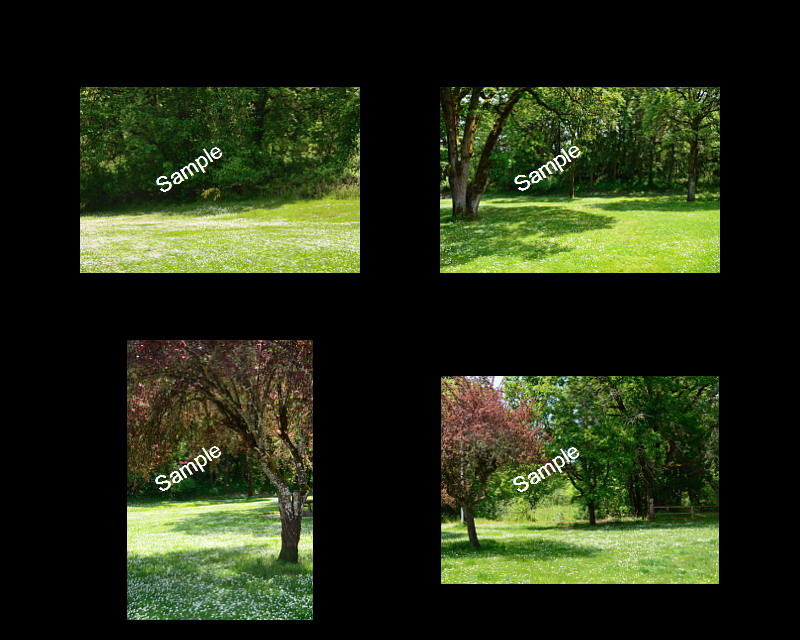 Wedding Backgrounds