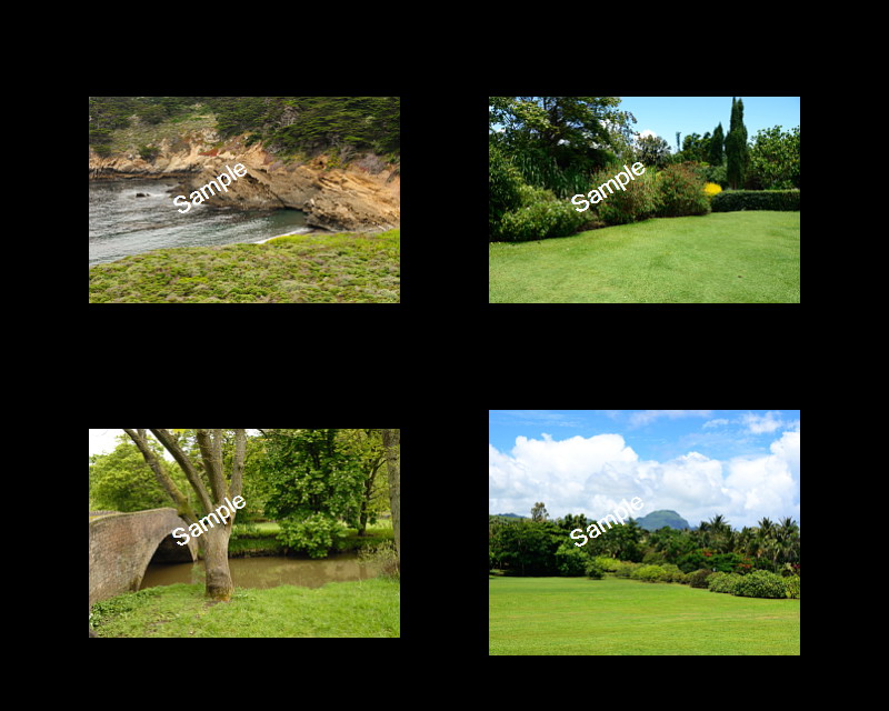 Wedding Backgrounds