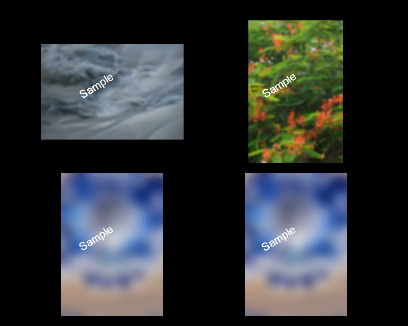Old Masters