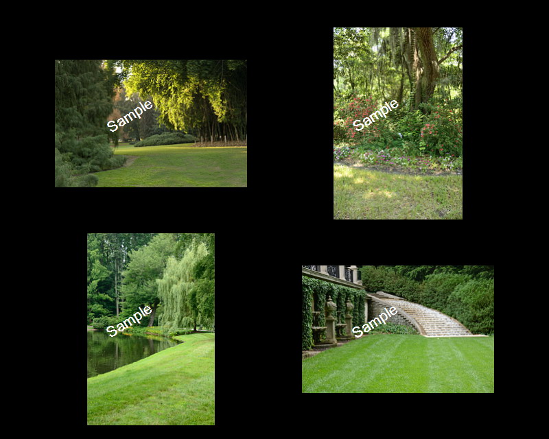 Wedding Backgrounds