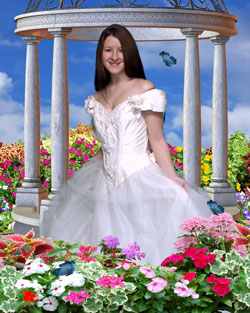 Greeting Cards