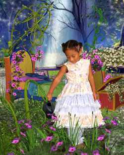 Greeting Cards