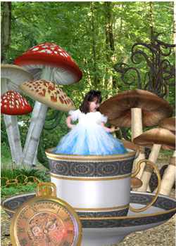 Greeting Cards