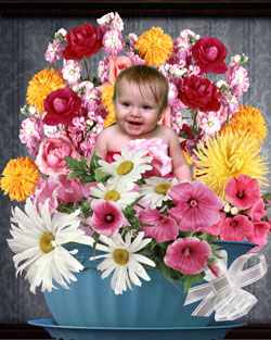 Greeting Cards
