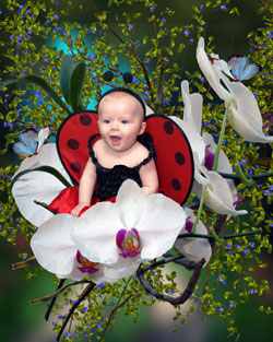 Greeting Cards