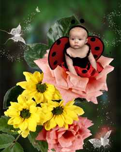 Greeting Cards