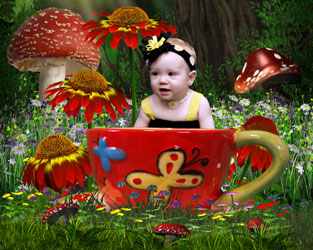 Greeting Cards